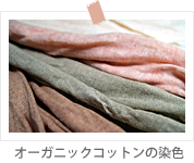 �I�[�K�j�b�N�R�b�g���̐��F