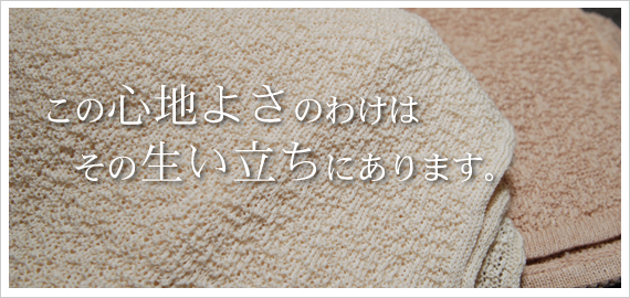 ���̐S�n�悳�̂킯�́A���̐��������ɂ���܂��B